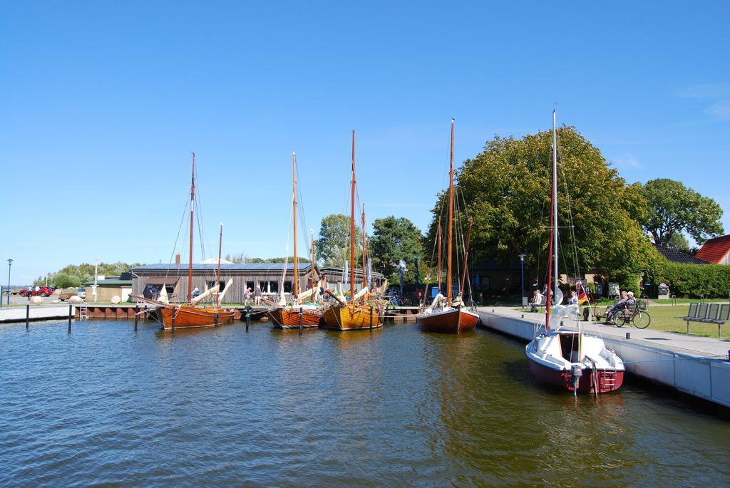 Vila Ferienhaus In Bartelshagen II Hessenburg Exteriér fotografie